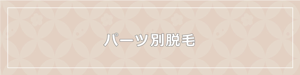 平野エステサロン、サラスバティのパーツ別脱毛料金