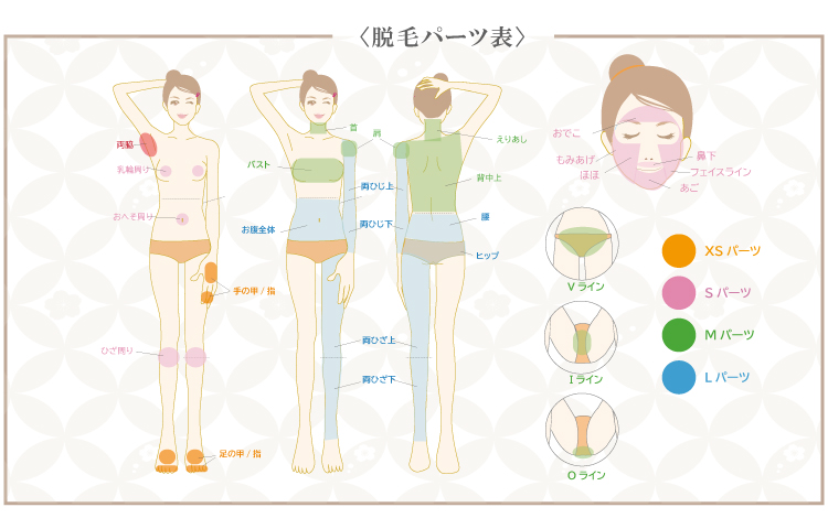 平野エステサロン、サラスバティの脱毛パーツ表