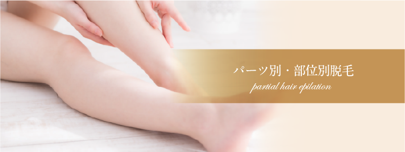 パーツ別・部位別脱毛/料金|平野 エステ【サラスバティ】