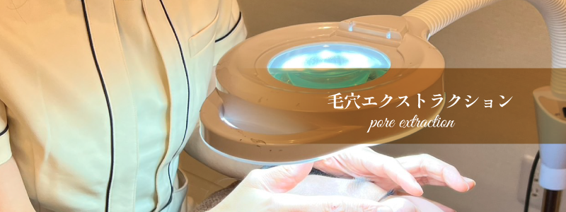 平野 エステ【サラスバティ】 |毛穴エクストラクションの料金